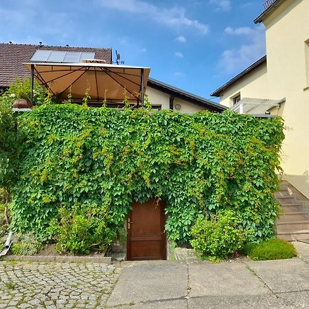 Wolfsbergblick Apartment Reinhardtsdorf-Schona Ngoại thất bức ảnh