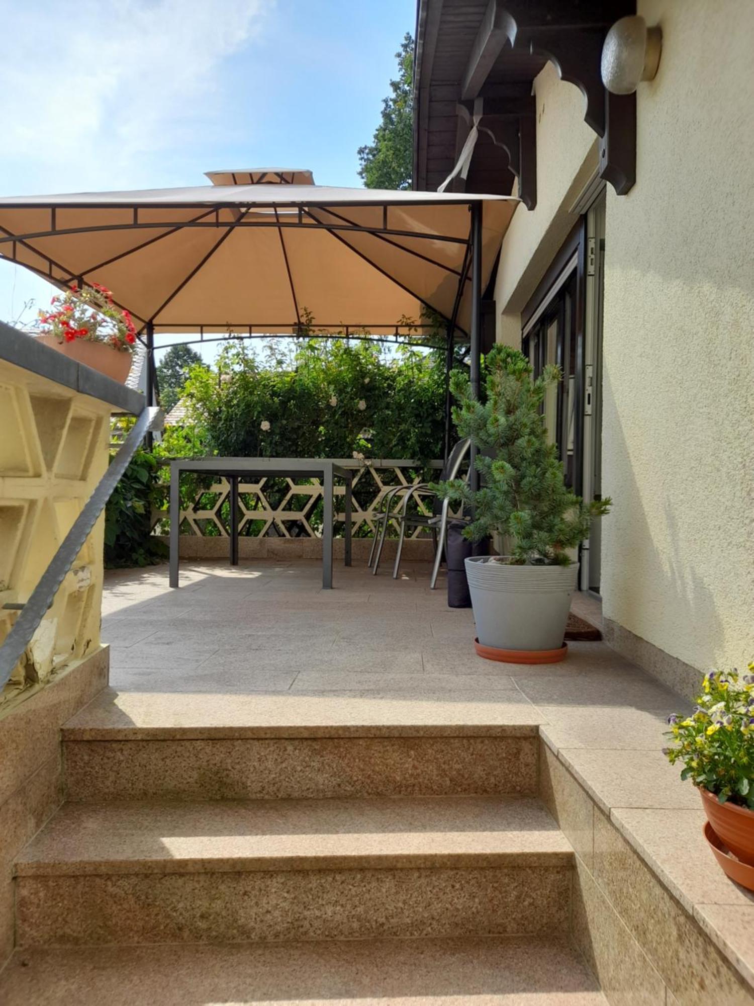 Wolfsbergblick Apartment Reinhardtsdorf-Schona Ngoại thất bức ảnh